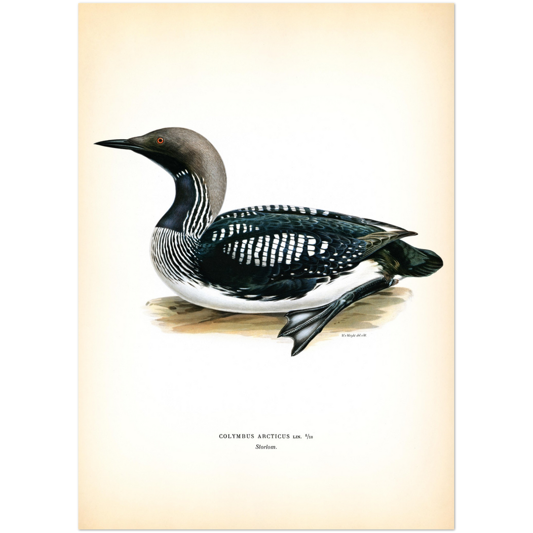 32e0a729-693e-4c1c-9ef9-57b3289ef832