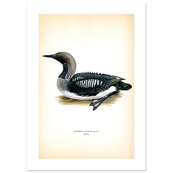 7f06c00e-af99-4150-85be-224175551981