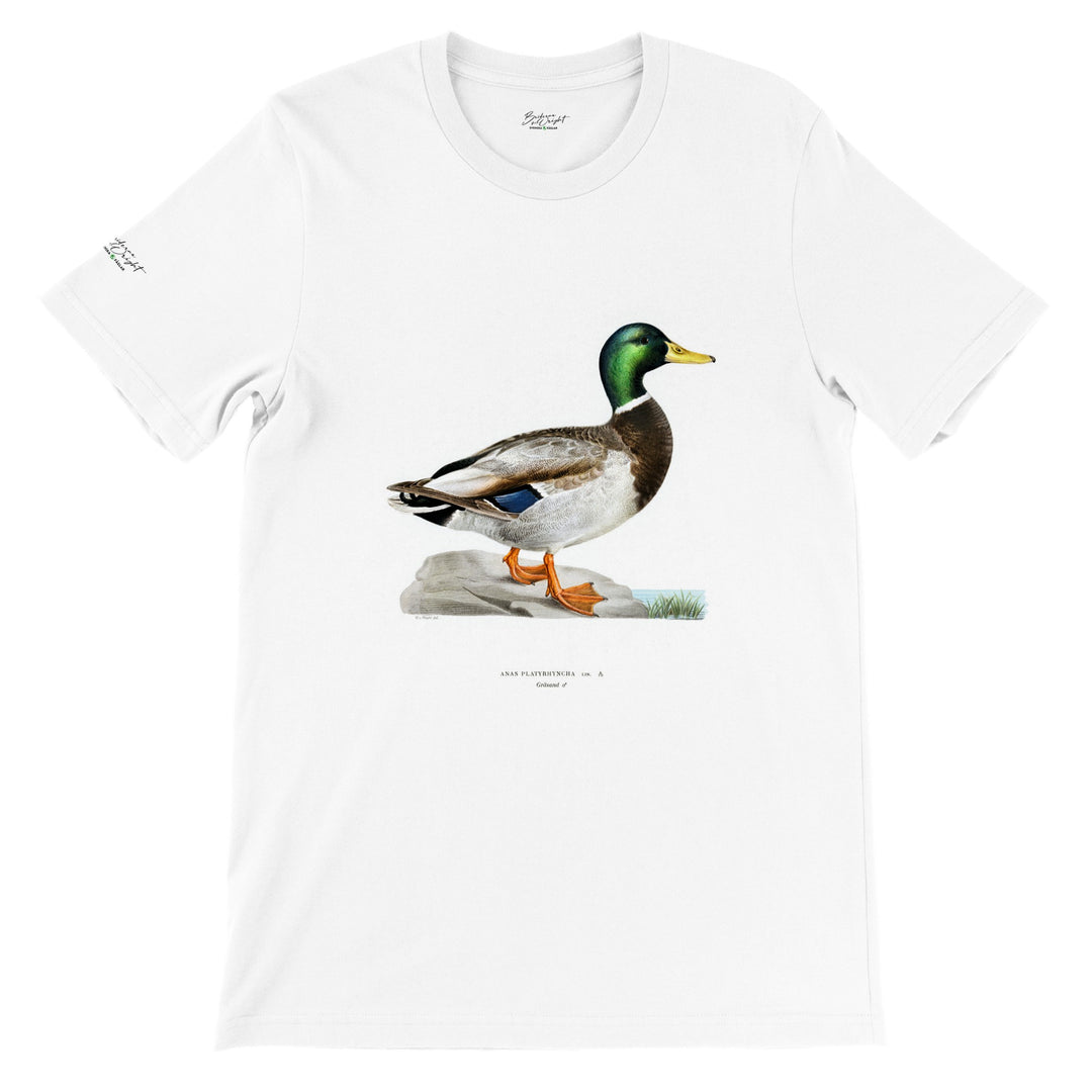 Gräsand, T-shirt