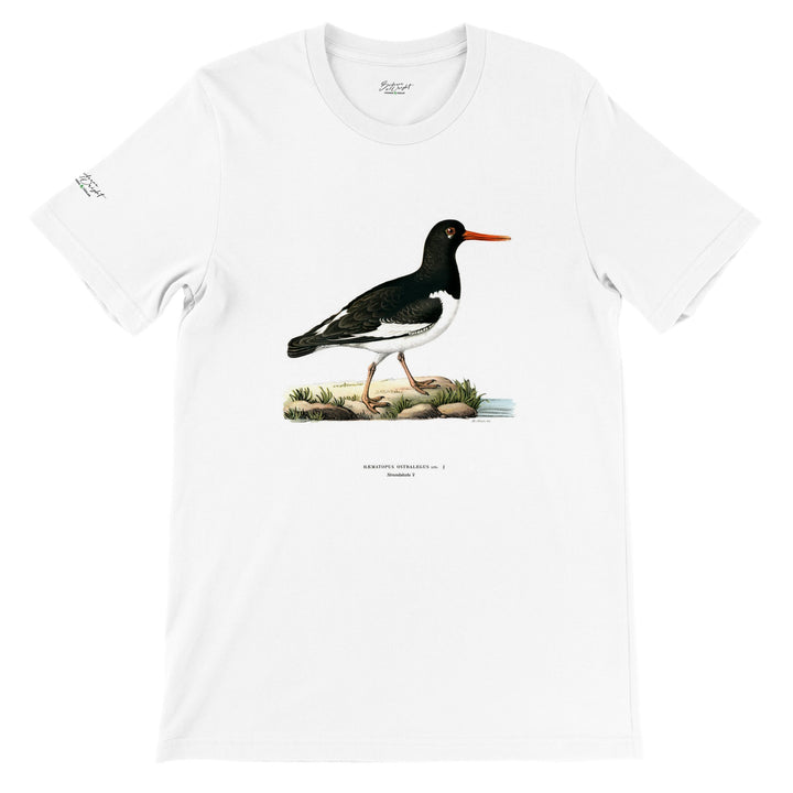 Strandskata, T-shirt