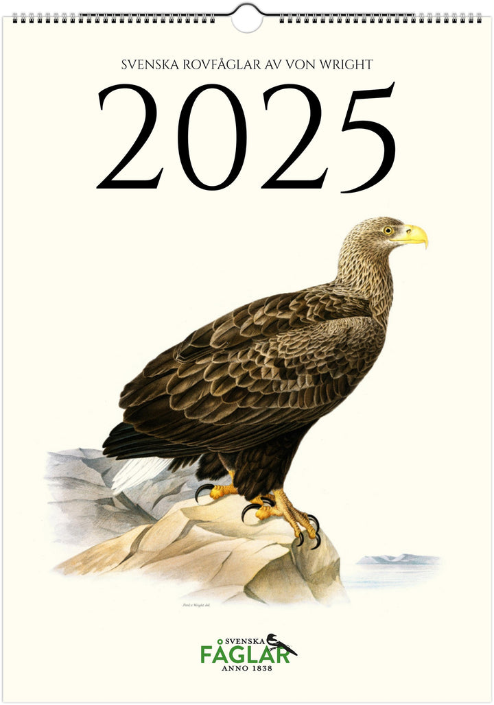 »Svenska rovfåglar« 2025, väggkalender