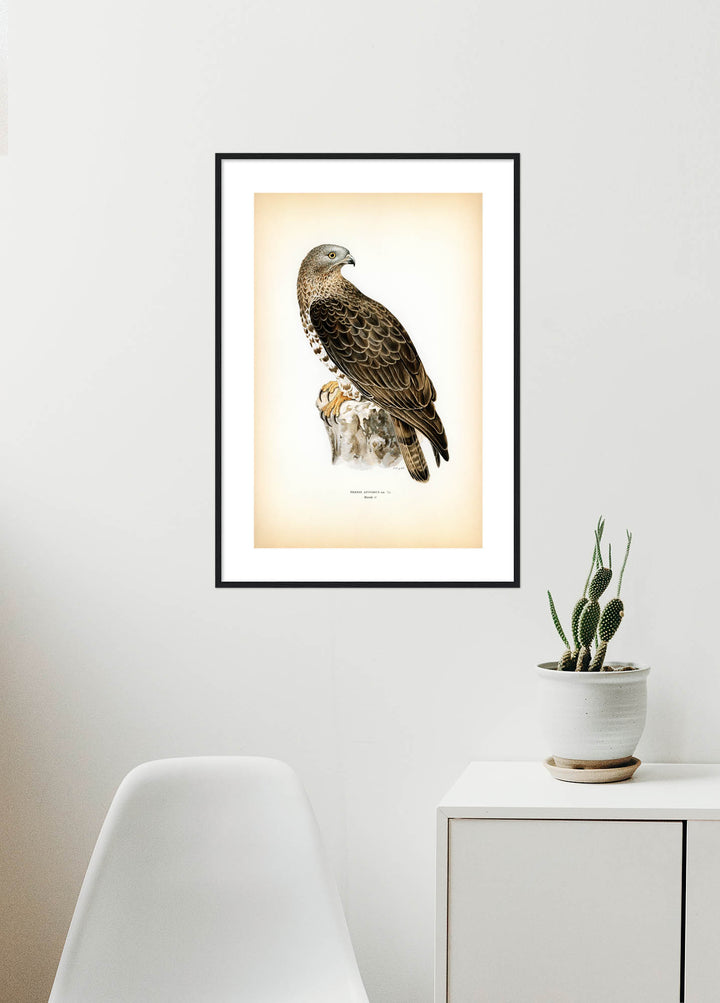 Fågeln Kattuggla på klassisk vintage poster/affisch