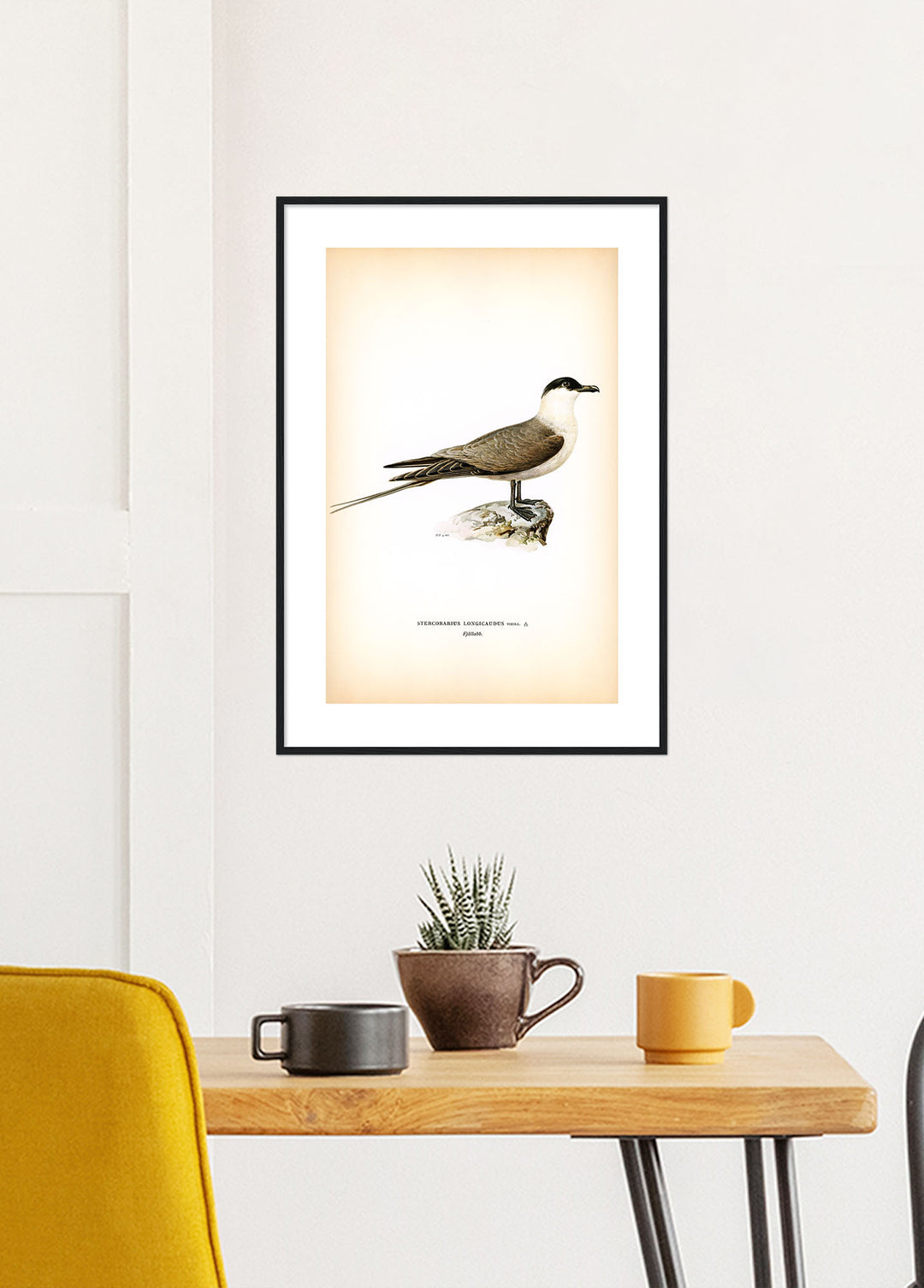 Fågeln Fjällabb på klassisk vintage poster/affisch