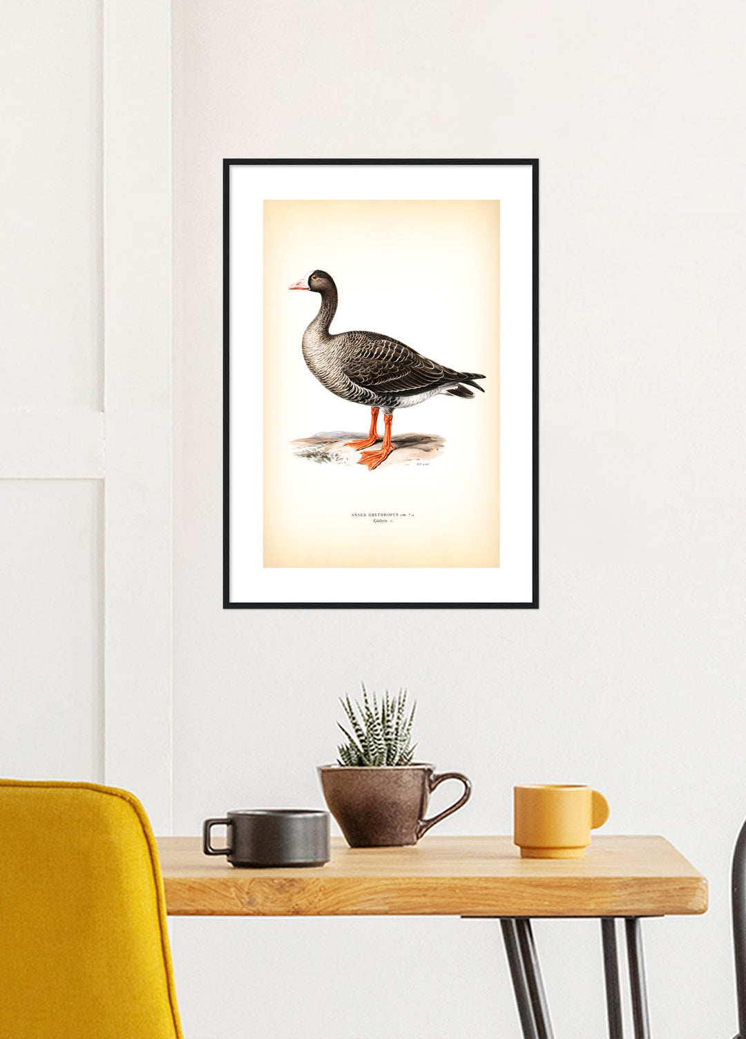 Fågeln Fjällgås på klassisk vintage poster/affisch