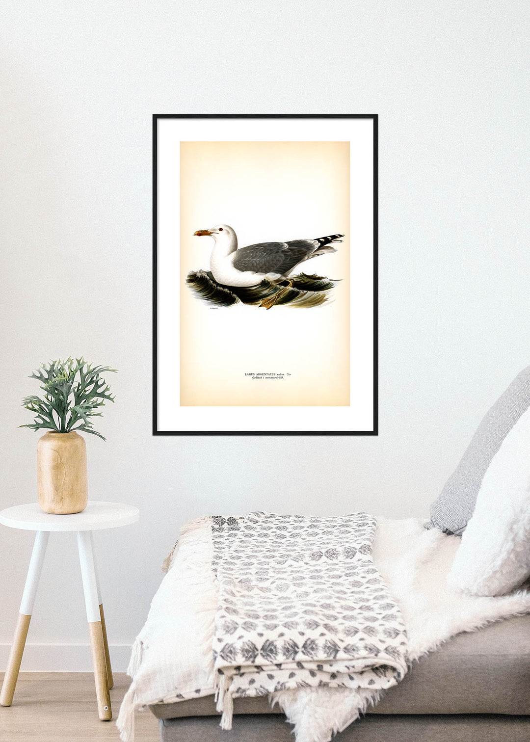 Fågeln Gråtrut, sommar på klassisk vintage poster/affisch