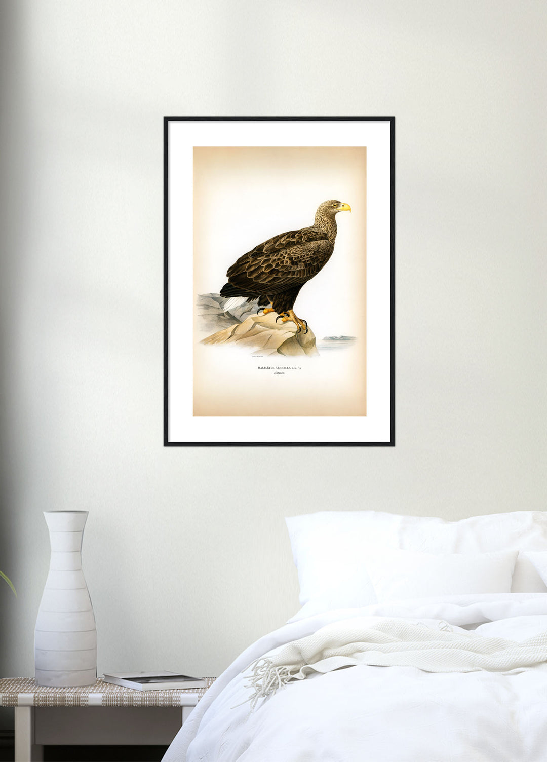 Fågeln Hafsörn på klassisk vintage poster/affisch