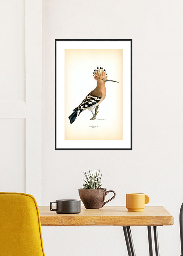 Fågeln Härfågel på klassisk vintage poster/affisch