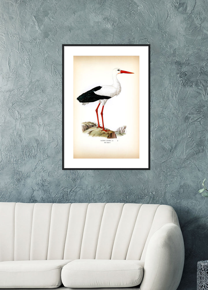 Fågeln Hvit stork på klassisk vintage poster/affisch