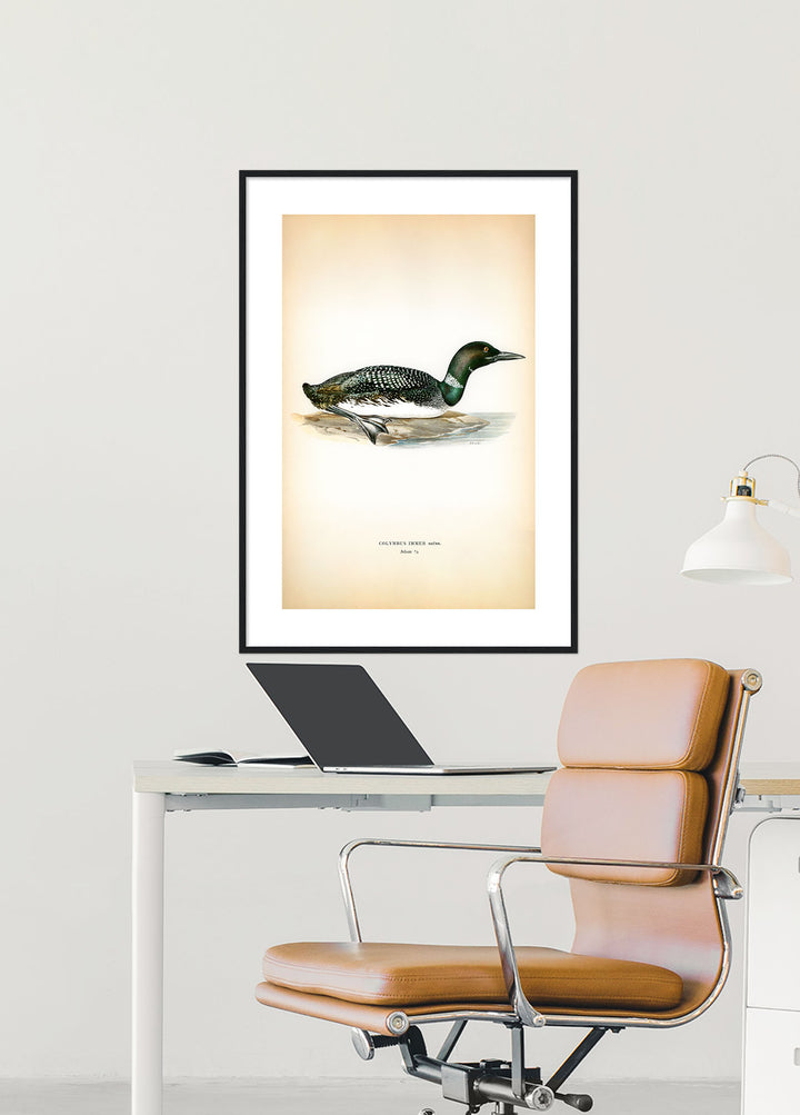 Fågeln Islom på klassisk vintage poster/affisch
