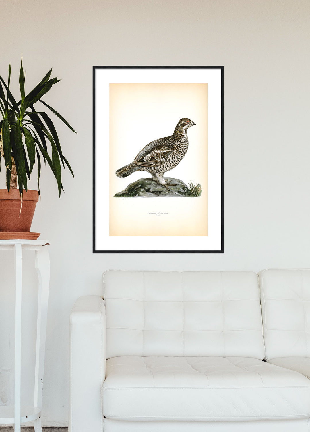 Fågeln Järpe på klassisk vintage poster/affisch