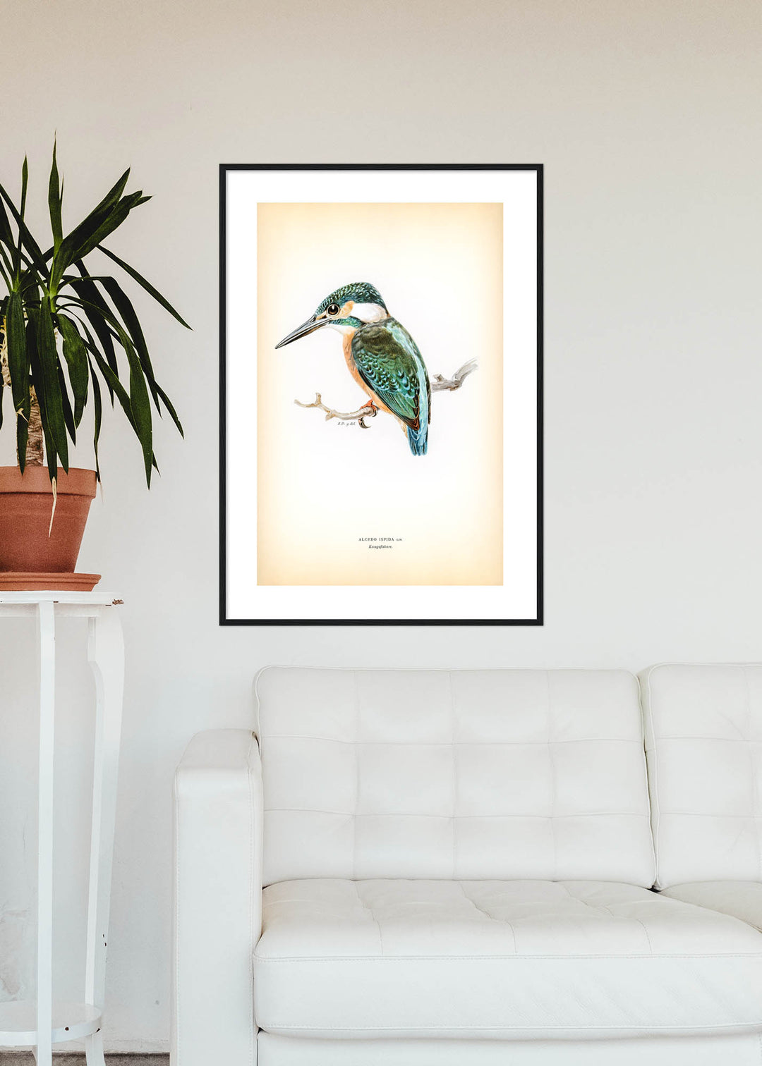 Fågeln Kungsfiskare på klassisk vintage poster/affisch