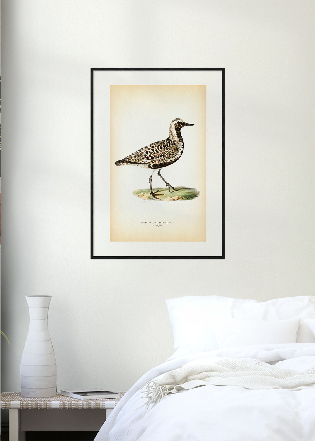 Fågeln Kustpipare på klassisk vintage poster/affisch