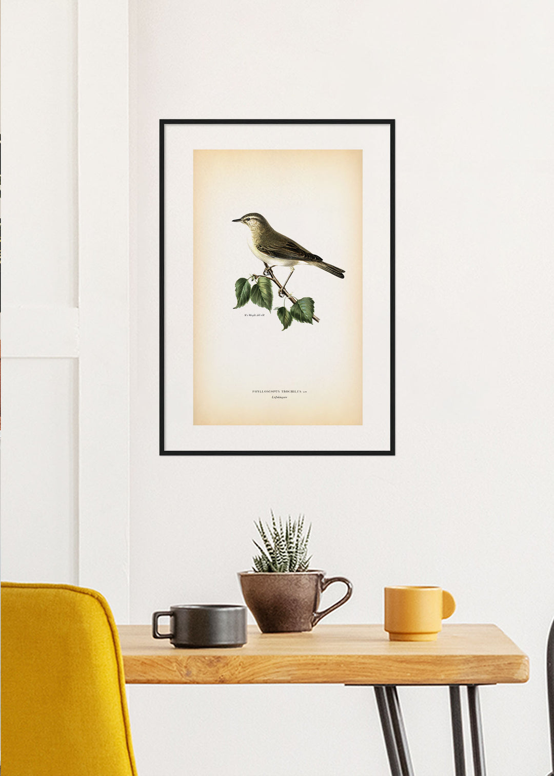 Fågeln Löfsångare på klassisk vintage poster/affisch