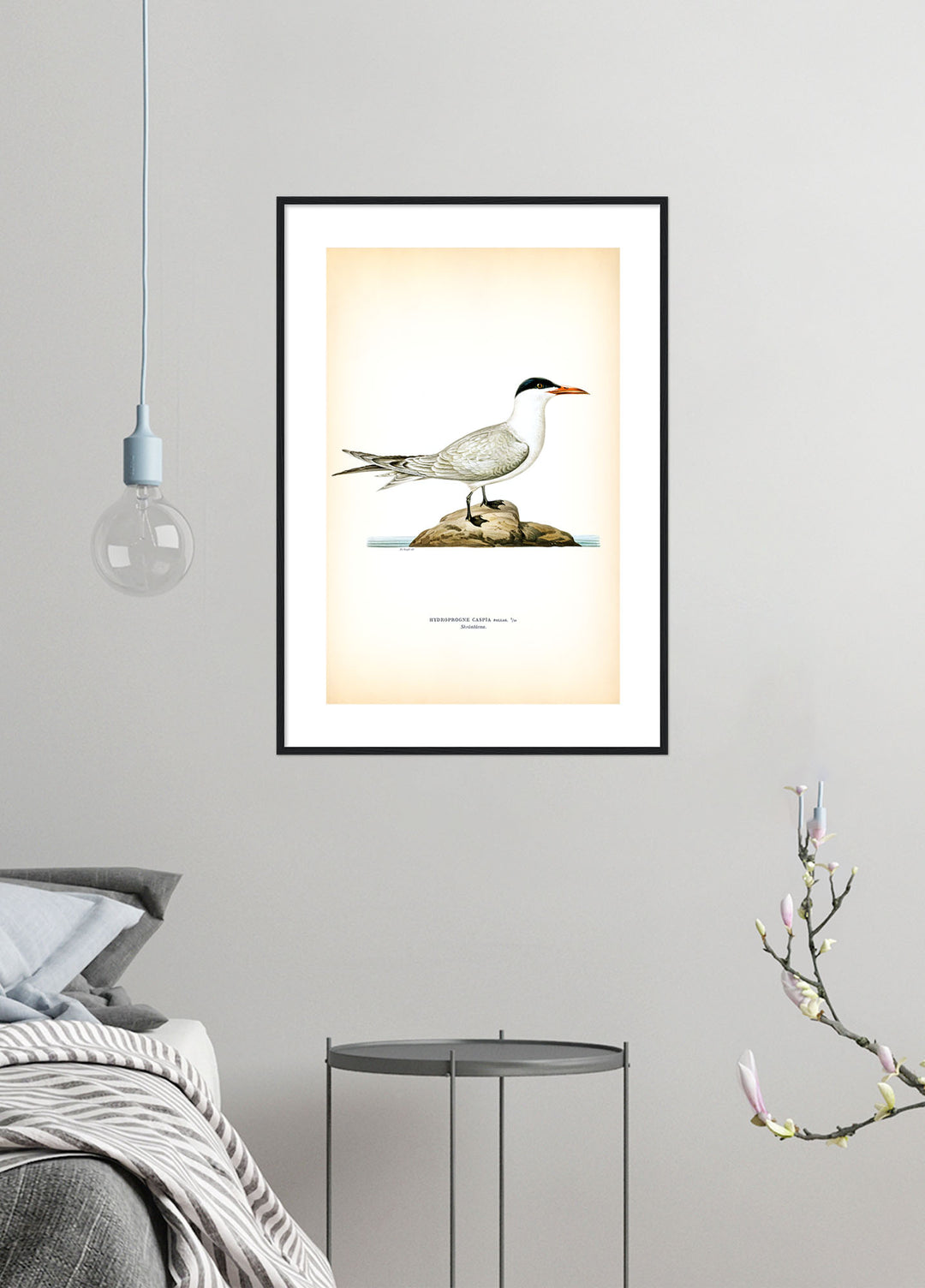 Fågeln Skräntärna på klassisk vintage poster/affisch