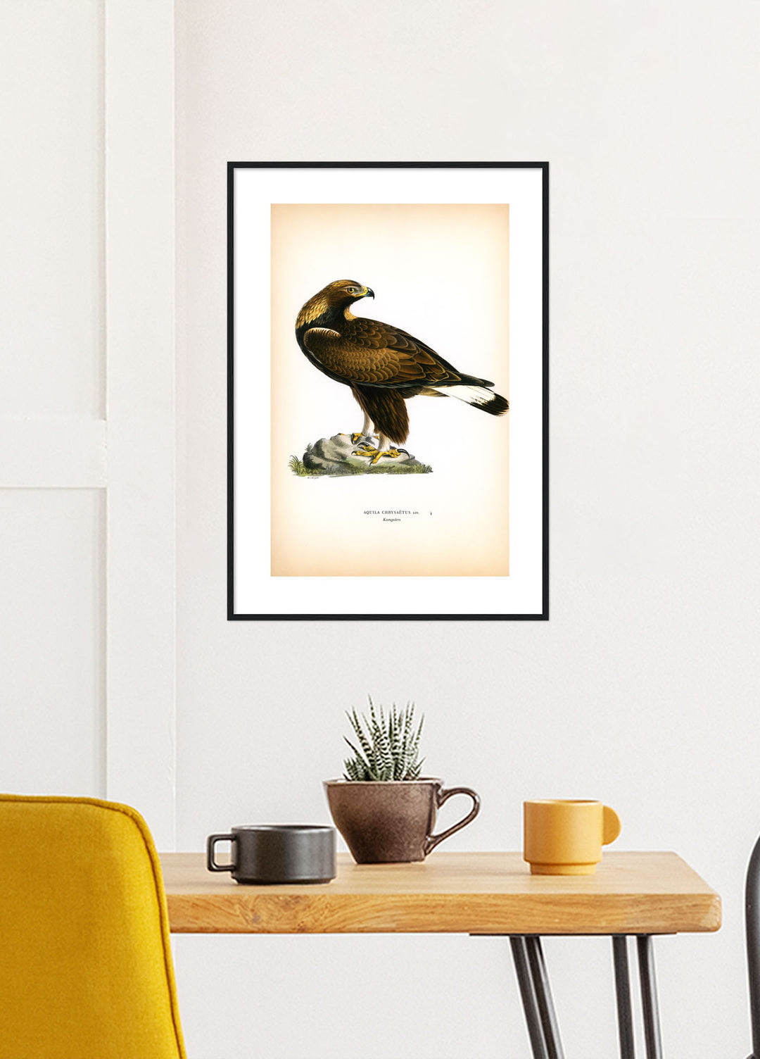 Fågeln Kungsörn på klassisk vintage poster/affisch
