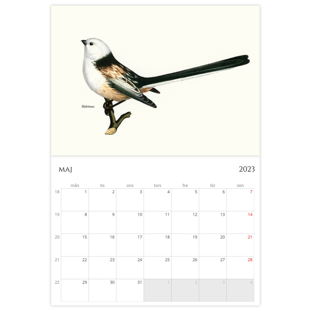 »Trädgårdens fåglar« 2023, väggkalender