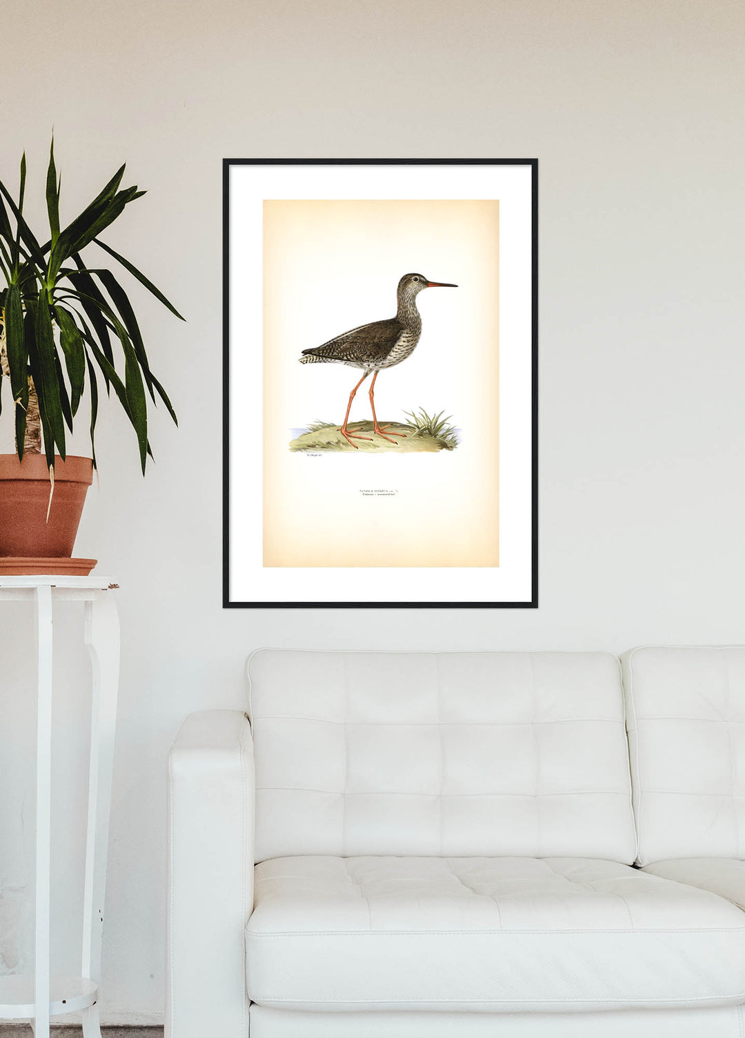 Fågeln Rödbena, sommar på klassisk vintage poster/affisch