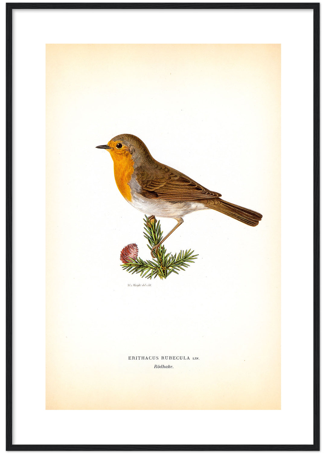 Fågeln Rödhake på klassisk vintage poster/affisch