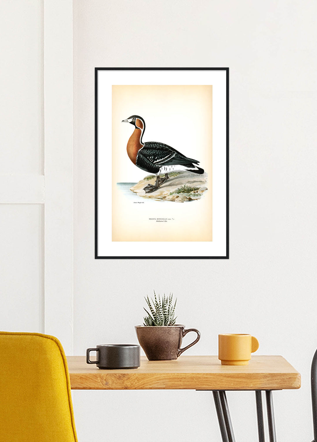 Fågeln Rödhalsad gås på klassisk vintage poster/affisch