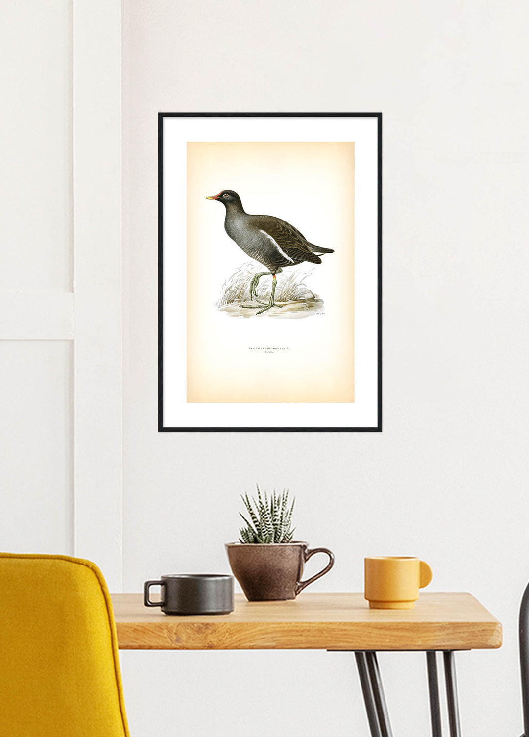 Fågeln Rörhöna på klassisk vintage poster/affisch