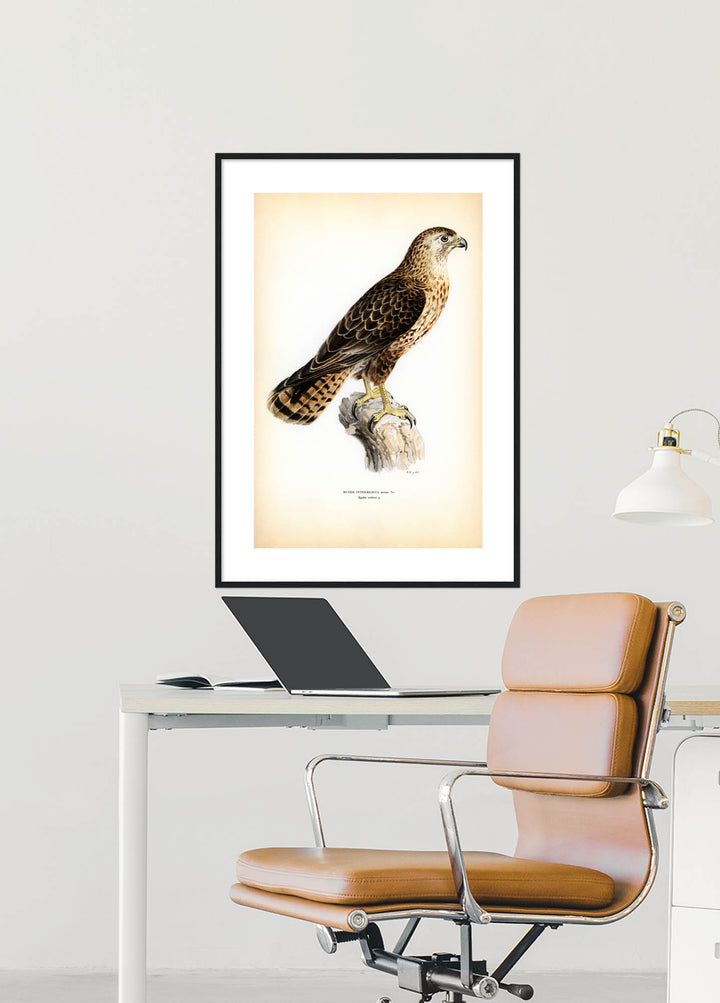 Fågeln Ryska vråken på klassisk vintage poster/affisch