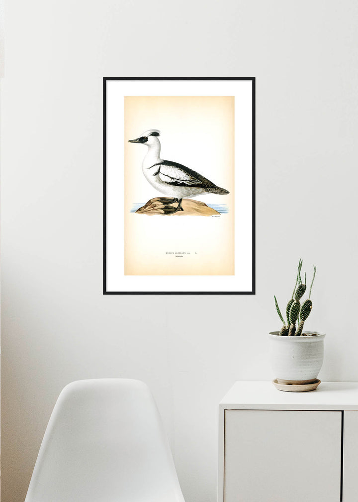 Fågeln Salskrake på klassisk vintage poster/affisch