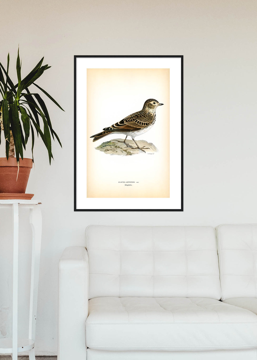 Fågeln Sånglärka på klassisk vintage poster/affisch