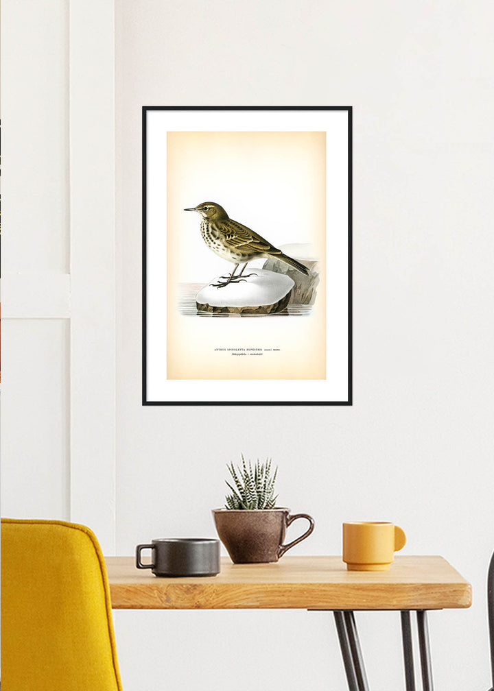 Fågeln Skärpiplärka, vinter på klassisk vintage poster/affisch