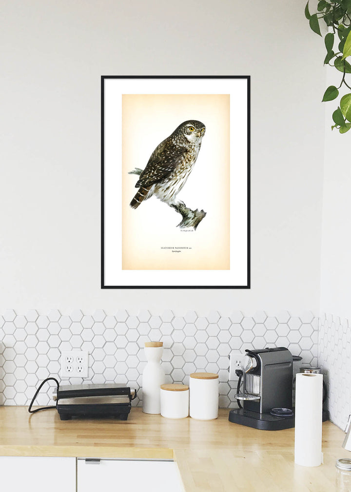 Fågeln Sparfuggla på klassisk vintage poster/affisch