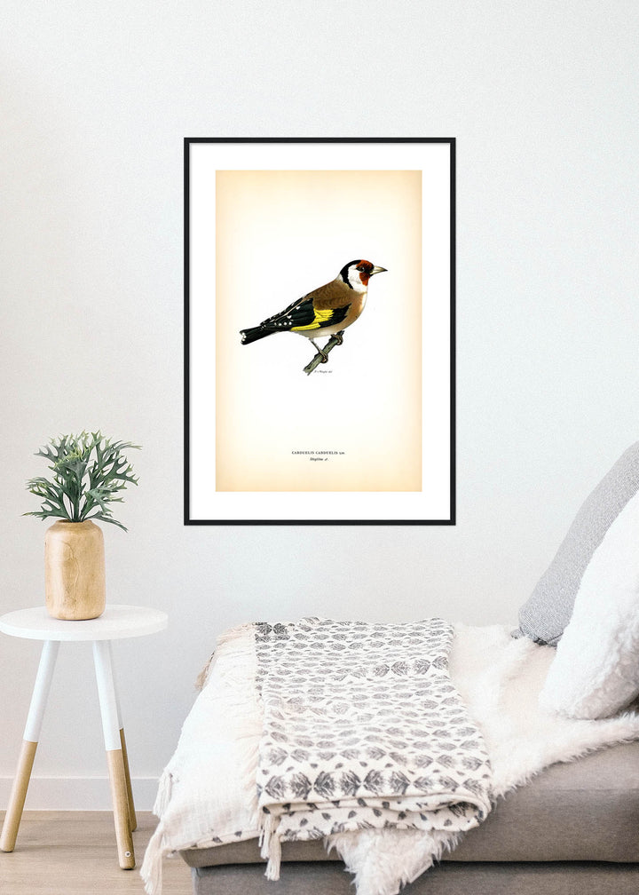 Fågeln Steglitsa på klassisk vintage poster/affisch
