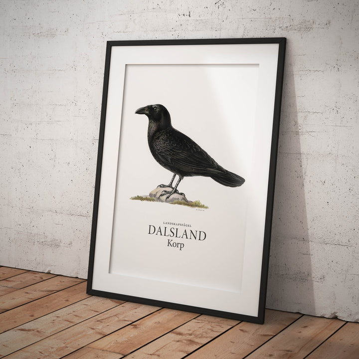 Dalslands landskapsfågel, Korp