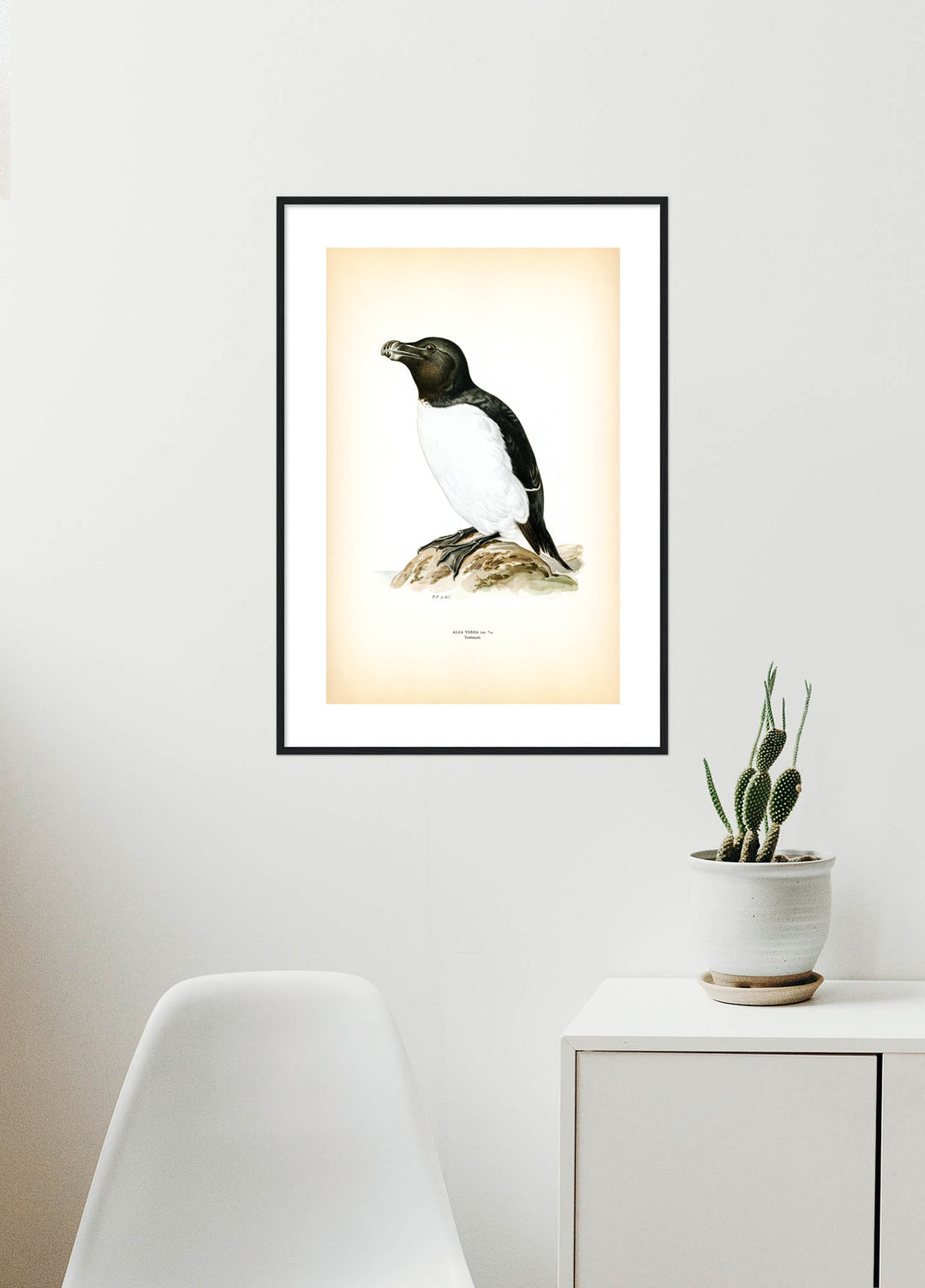 Fågeln Tordmule på klassisk vintage poster/affisch