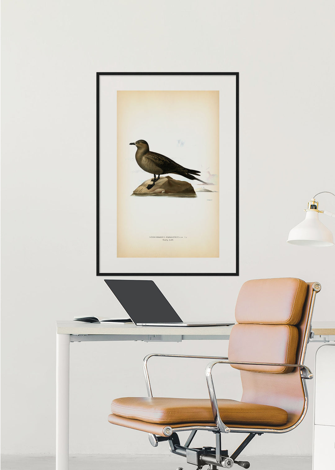 Fågeln Vanlig labb på klassisk vintage poster/affisch