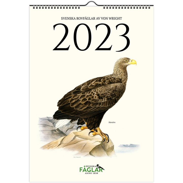 »Svenska rovfåglar« 2023, väggkalender