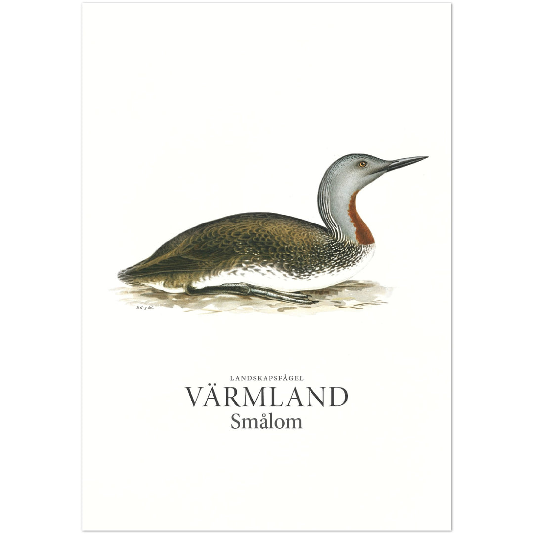 Värmlands landskapsfågel, Smålom