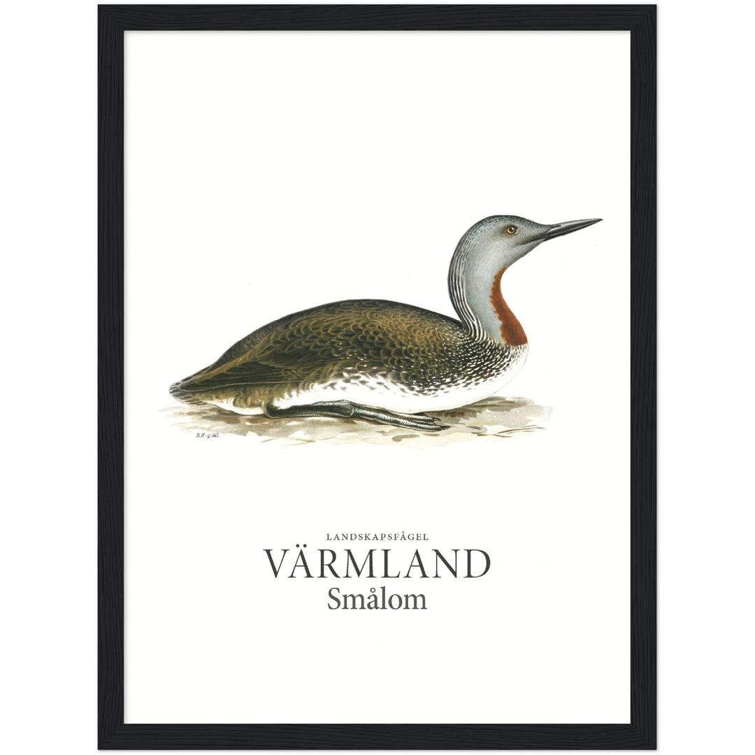 Värmlands landskapsfågel, Smålom