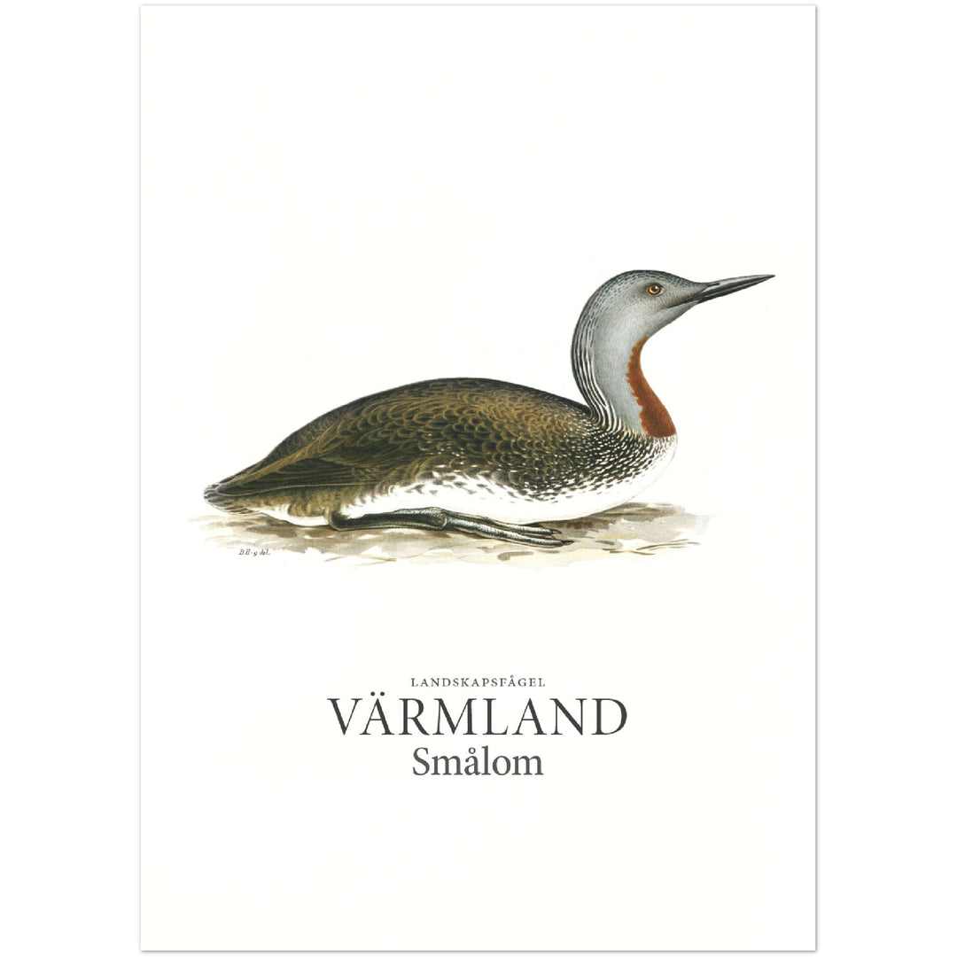 Värmlands landskapsfågel, Smålom