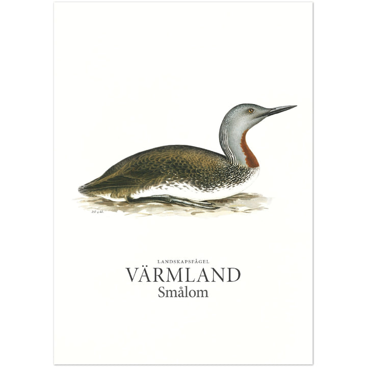 Värmlands landskapsfågel, Smålom